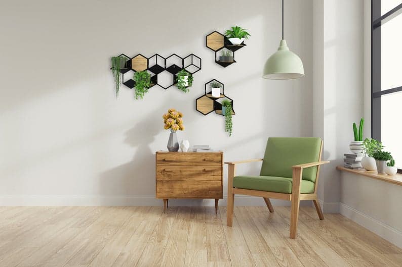 How to Highlight Your Indoor Plants How to Highlight Your Indoor Plants