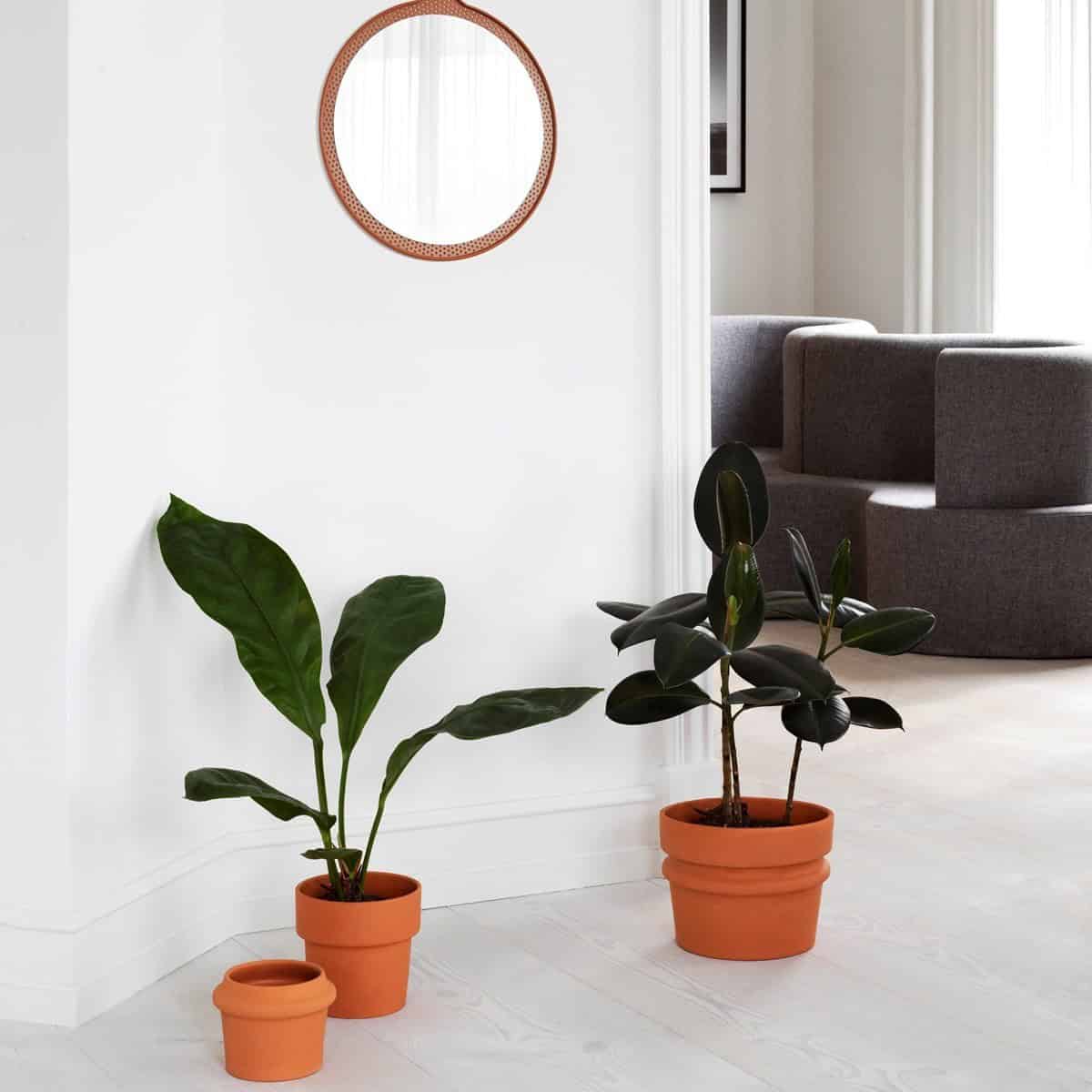 6 Nordic Design Pots You'll Absolutely Love 6 Nordic Design Pots You'll Absolutely Love