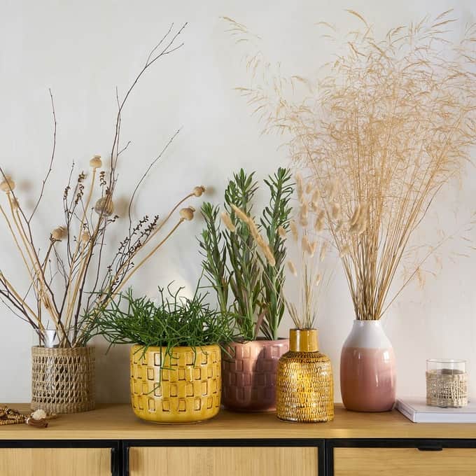 How to Highlight Your Indoor Plants How to Highlight Your Indoor Plants