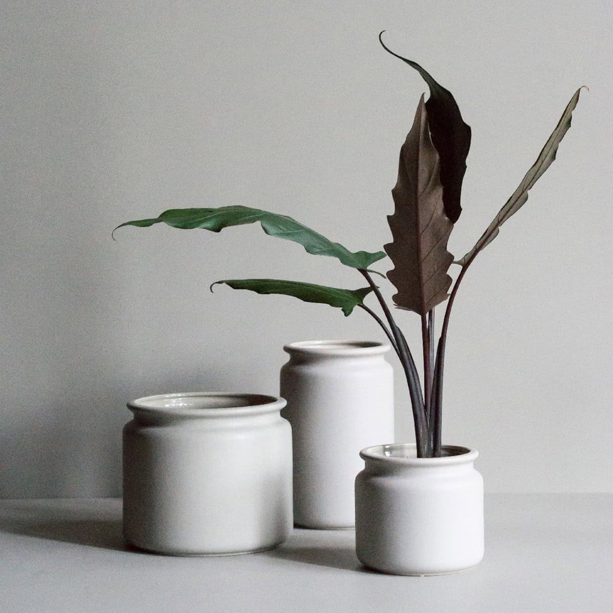 6 Nordic Design Pots You'll Absolutely Love 6 Nordic Design Pots You'll Absolutely Love