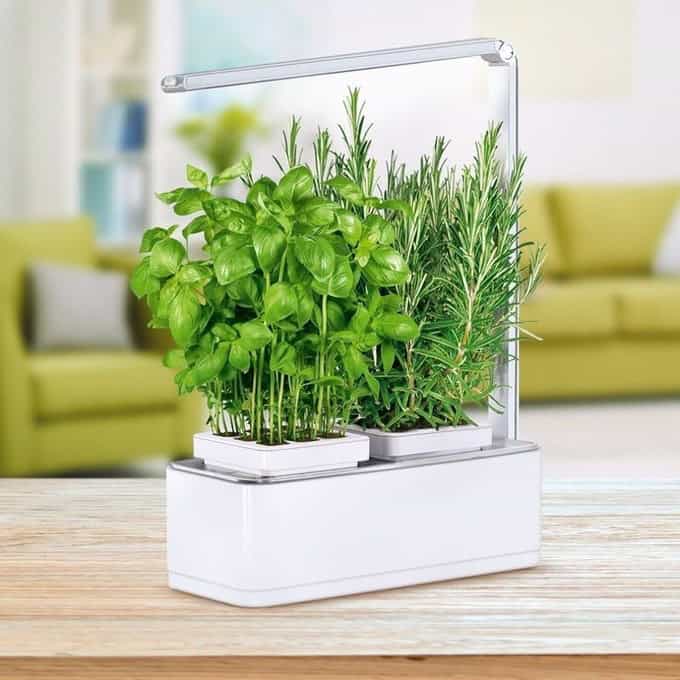 5 Indoor Planters for Your Plants 5 Indoor Planters for Your Plants