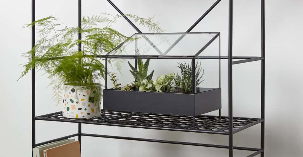 5 Indoor Planters for Your Plants 5 Indoor Planters for Your Plants