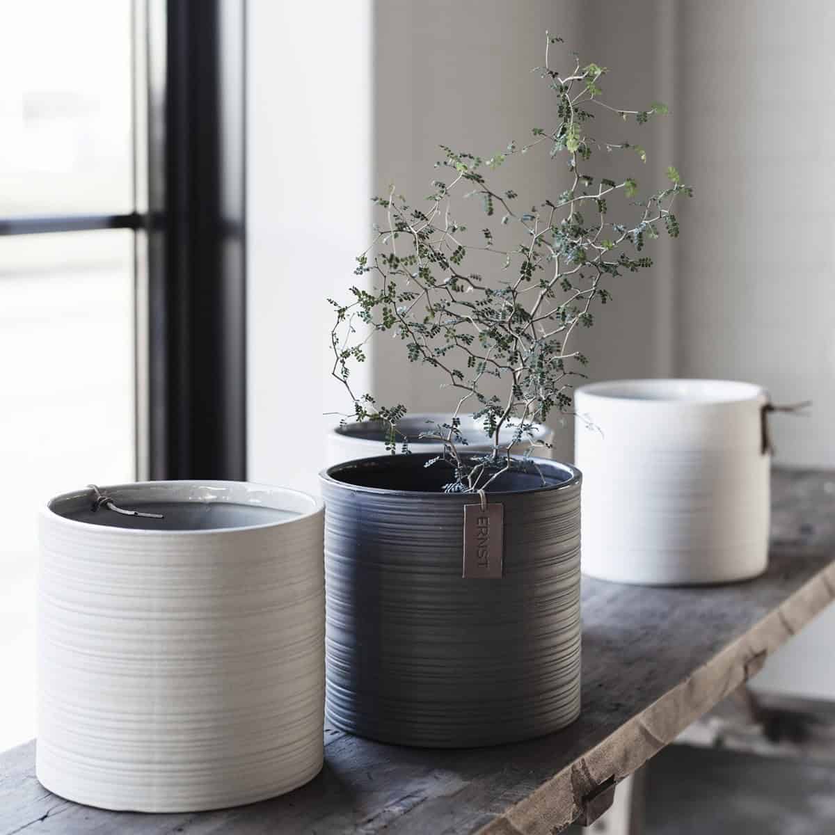 6 Nordic Design Pots You'll Absolutely Love 6 Nordic Design Pots You'll Absolutely Love
