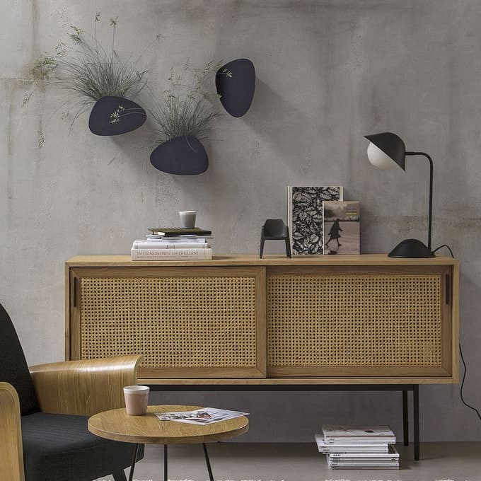 How to Highlight Your Indoor Plants How to Highlight Your Indoor Plants