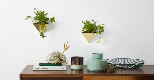 How to Highlight Your Indoor Plants