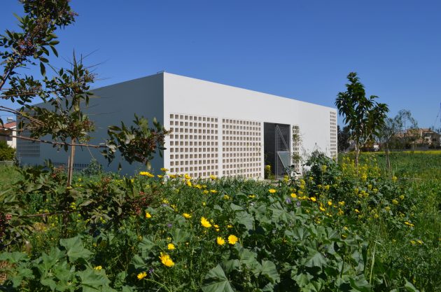 A House with Four Gardens by Draftworks Architects in Nicosia, Cyprus