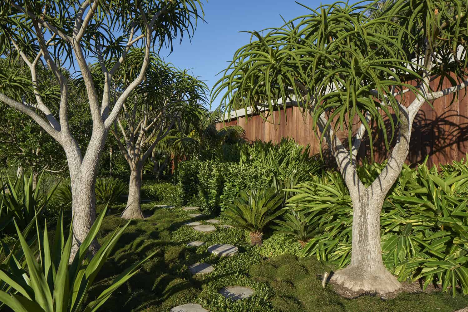 Sunrise House by MCK Architects in New South Wales, Australia Sunrise House by MCK Architects in New South Wales, Australia