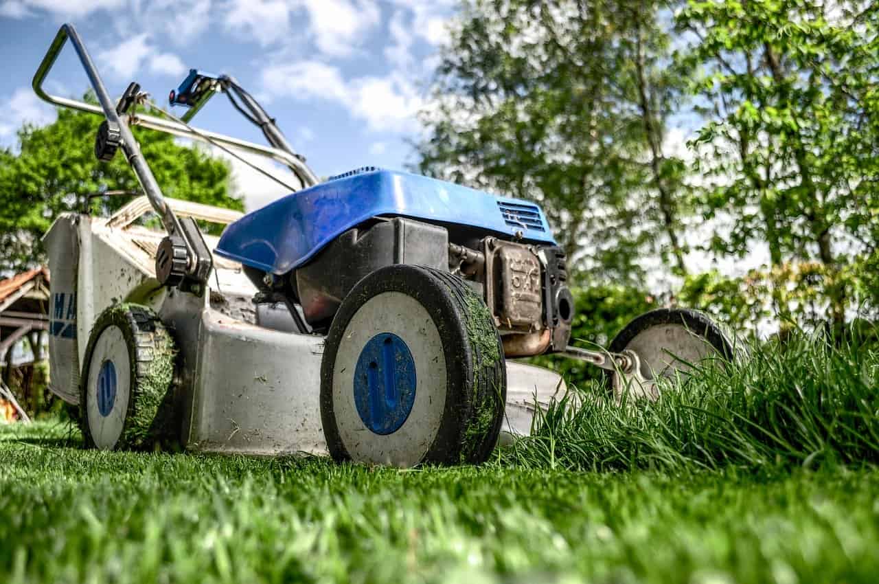 Maintaining and Protecting Your Lawn During Spring Time