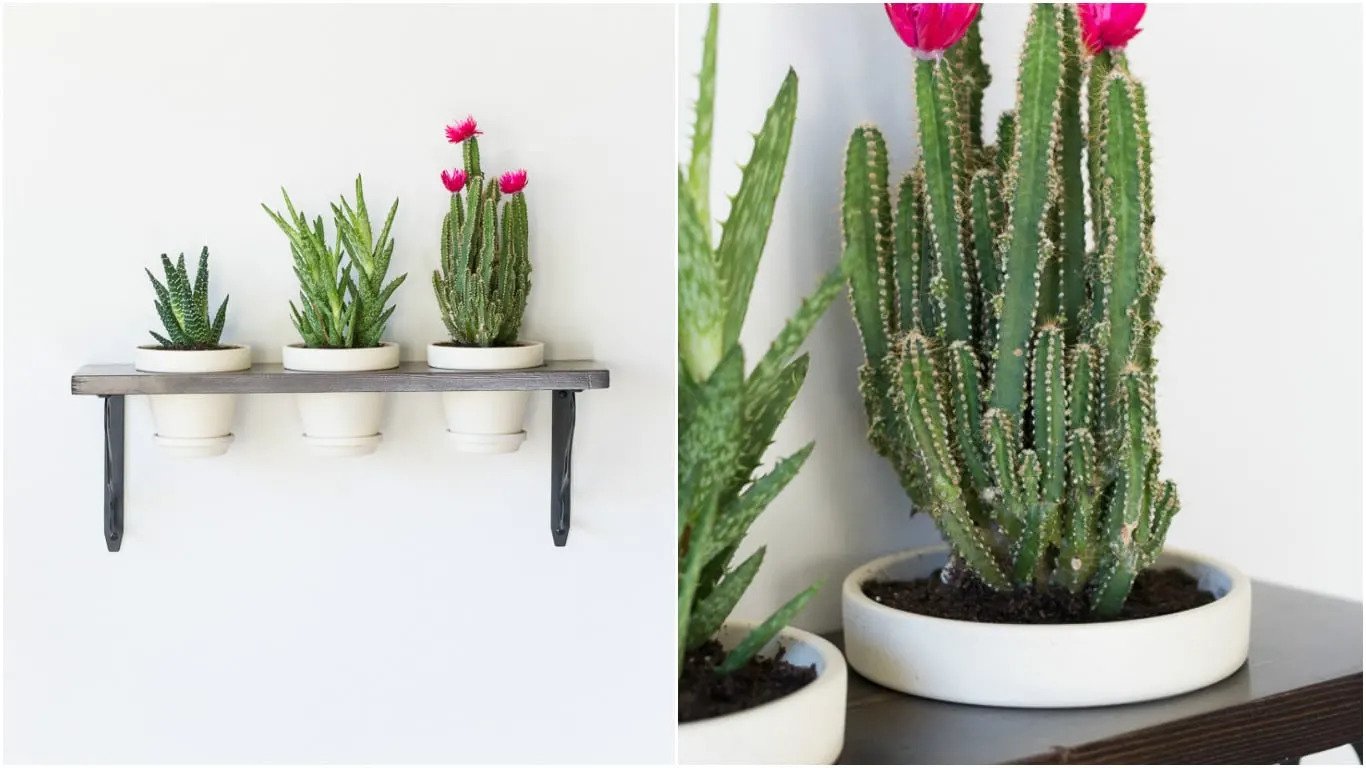 15 Lively DIY Planter Ideas That Will Refresh Your Spring Decor