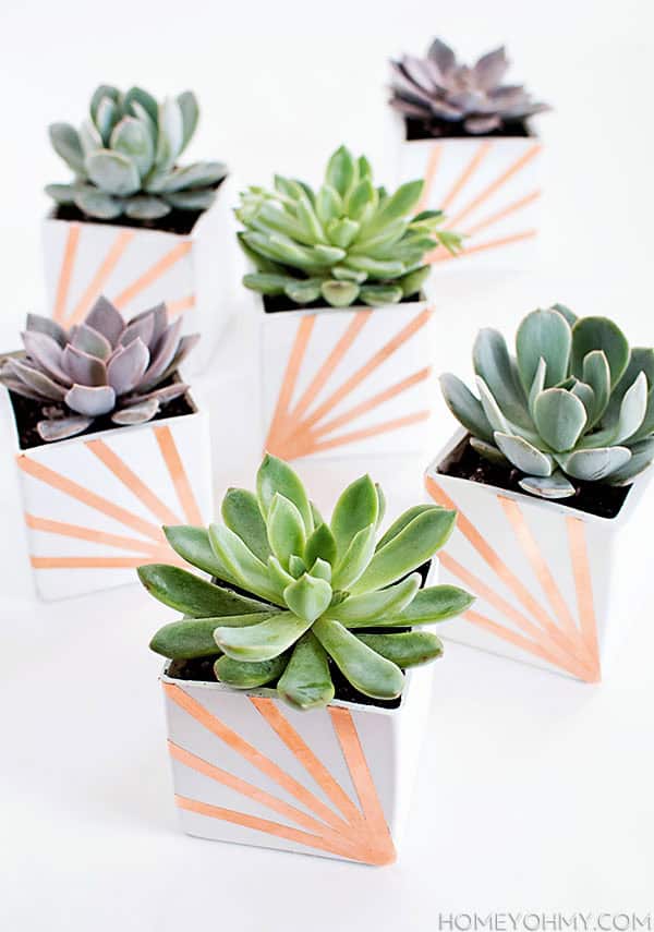 7. DIY COPPER AND WHITE SUCCULENT PLANTERS 7. DIY COPPER AND WHITE SUCCULENT PLANTERS