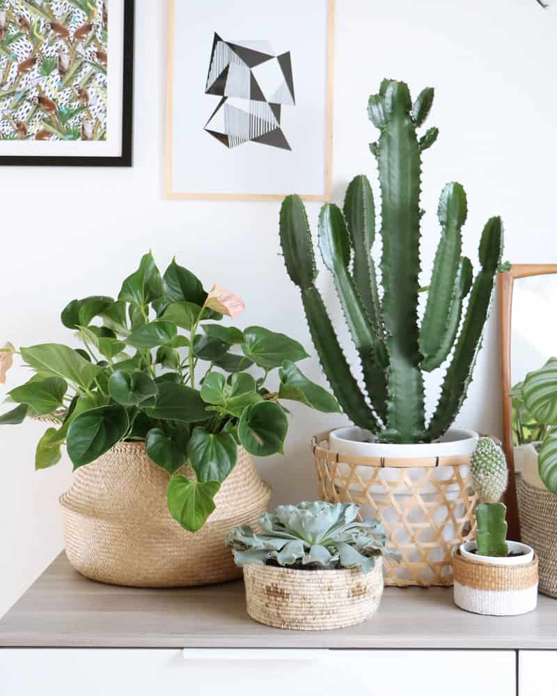 How to Use the Baskets in Your Decor? How to Use the Baskets in Your Decor?