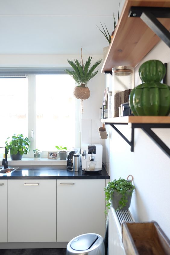 Want to Try Urban Jungle Atmosphere in the Kitchen?