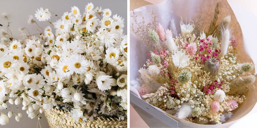 LONGEVITY OF CUT PLANTS AND FLOWERS – DECORATE THE LIVING ROOM SUSTAINABLY LONGEVITY OF CUT PLANTS AND FLOWERS – DECORATE THE LIVING ROOM SUSTAINABLY