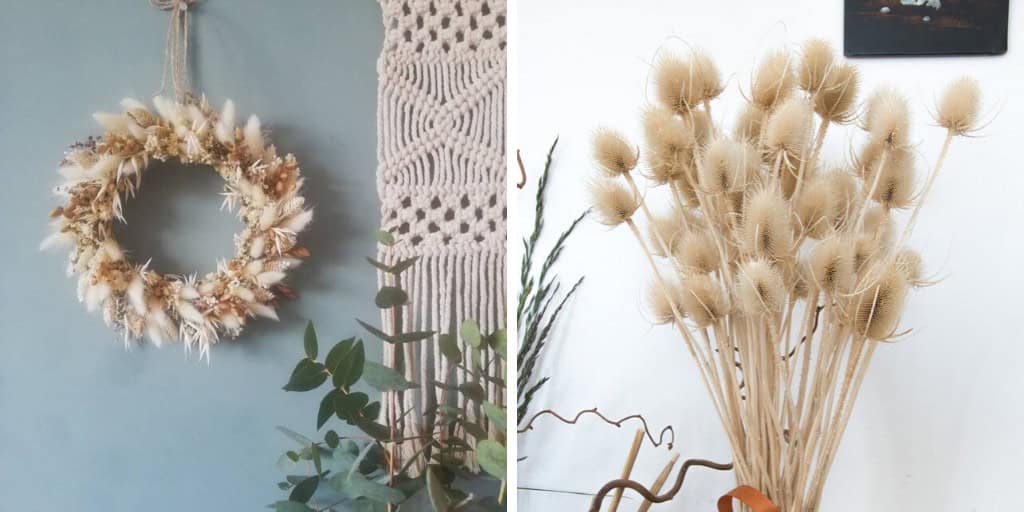 LONGEVITY OF CUT PLANTS AND FLOWERS – DECORATE THE LIVING ROOM SUSTAINABLY LONGEVITY OF CUT PLANTS AND FLOWERS – DECORATE THE LIVING ROOM SUSTAINABLY