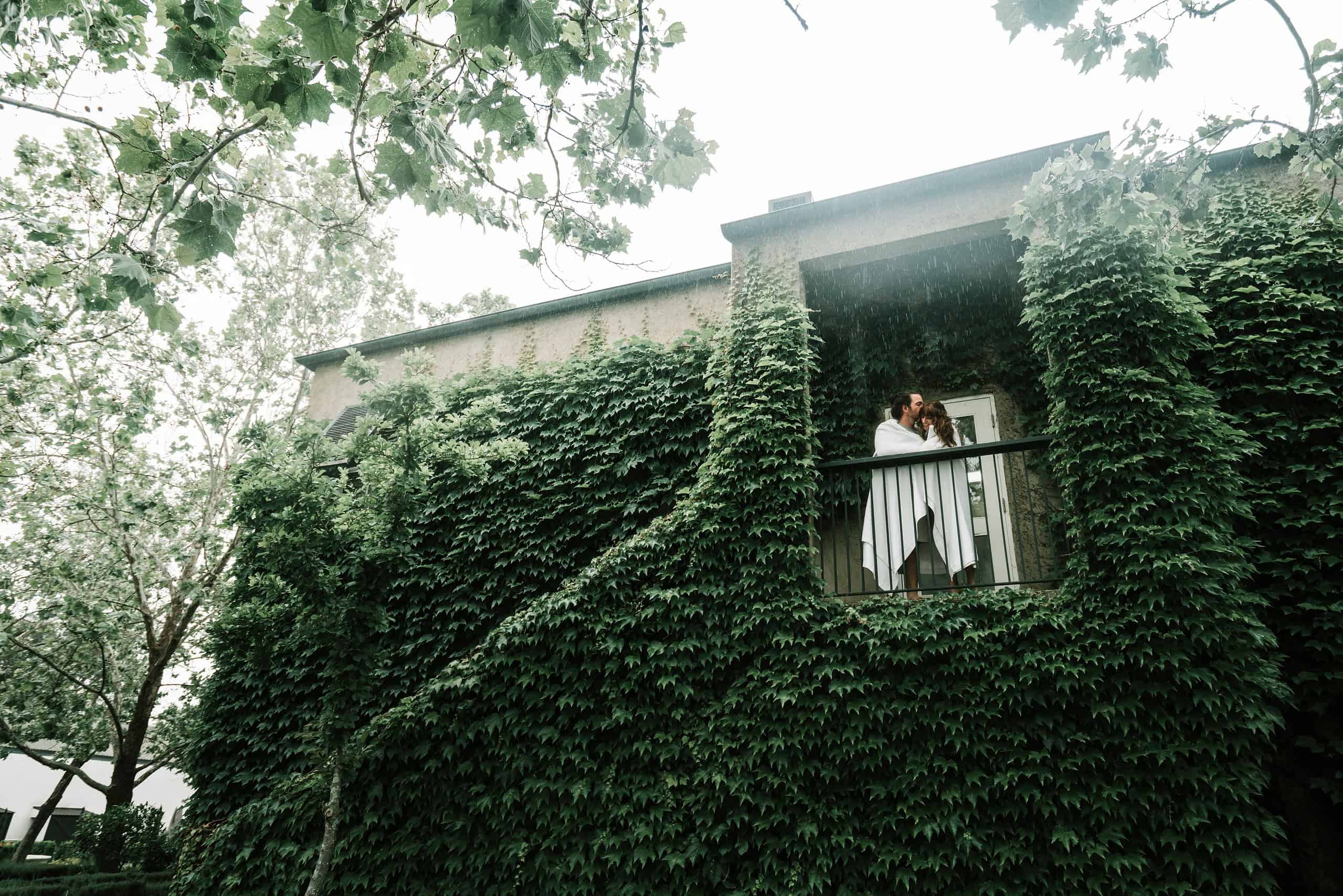 9 Home Ideas for Nature Lovers