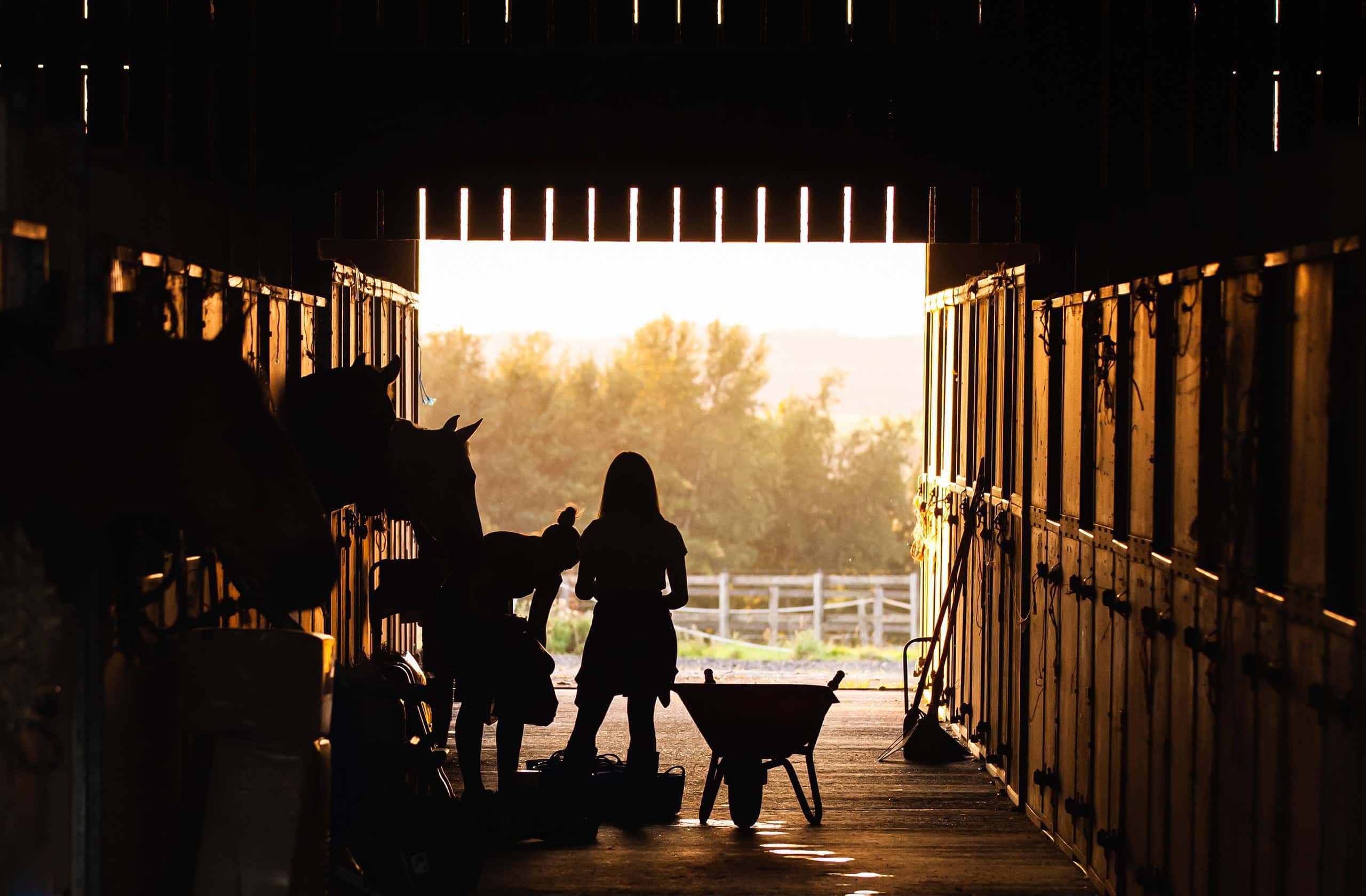 What Makes A Good Equestrian Property?