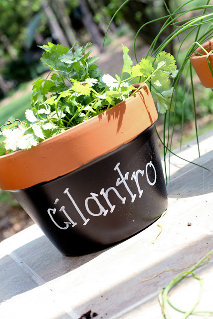 15 Lively DIY Planter Ideas That Can Refresh Any Space