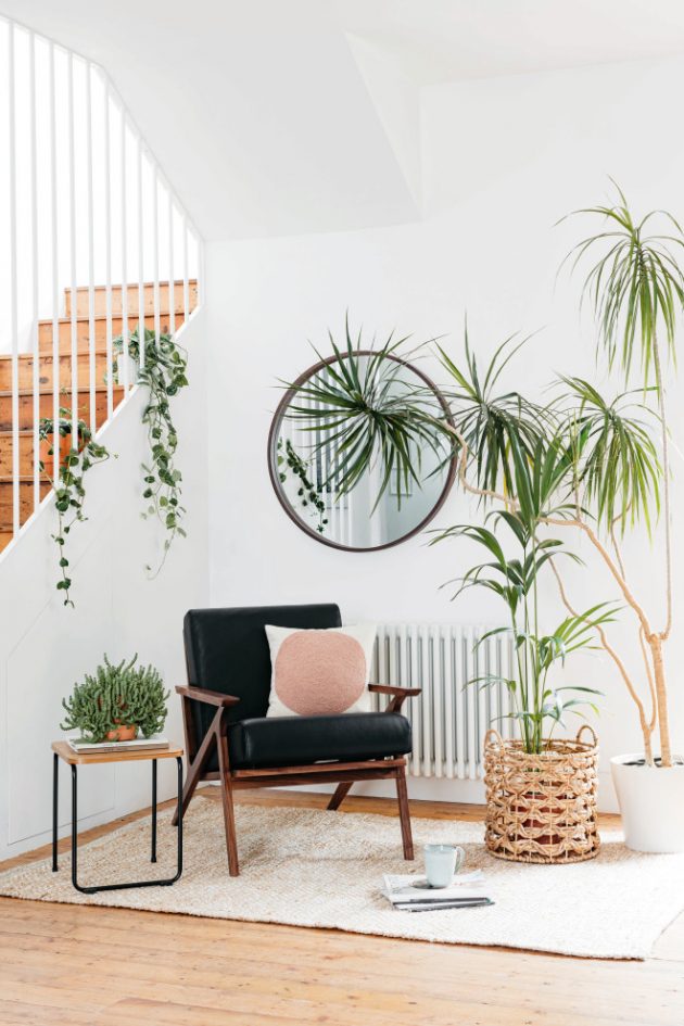 16 Warm & MidCentury Modern Entryway Designs