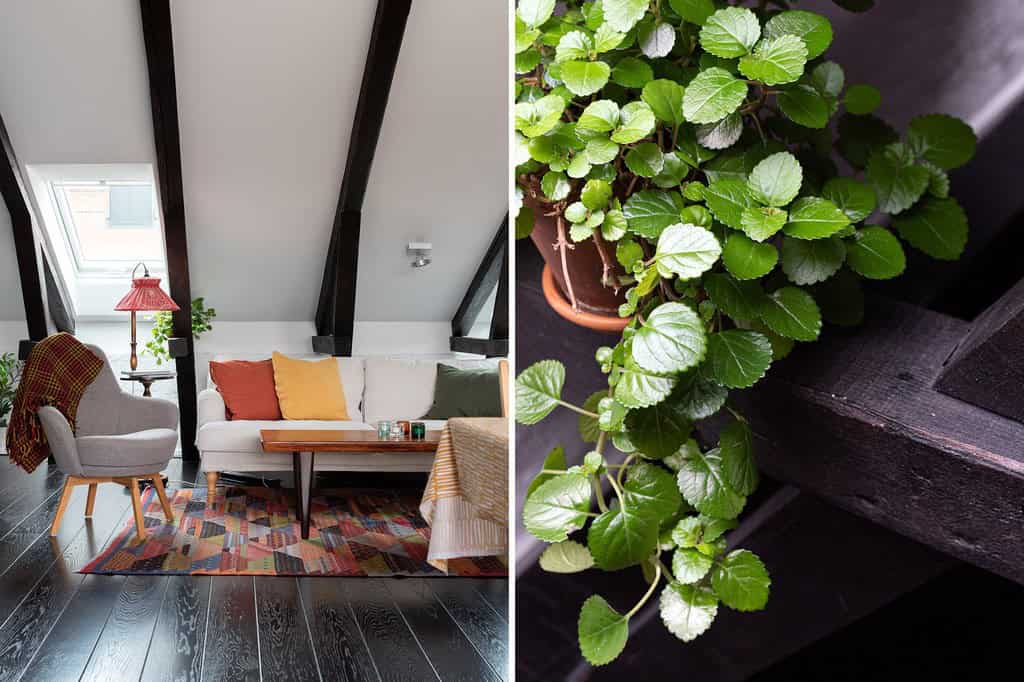 Fabulous Penthouse Between Vintage and Rustic Style Fabulous Penthouse Between Vintage and Rustic Style