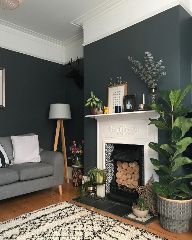 Would You Go For a Dark Shade in the Living Room?