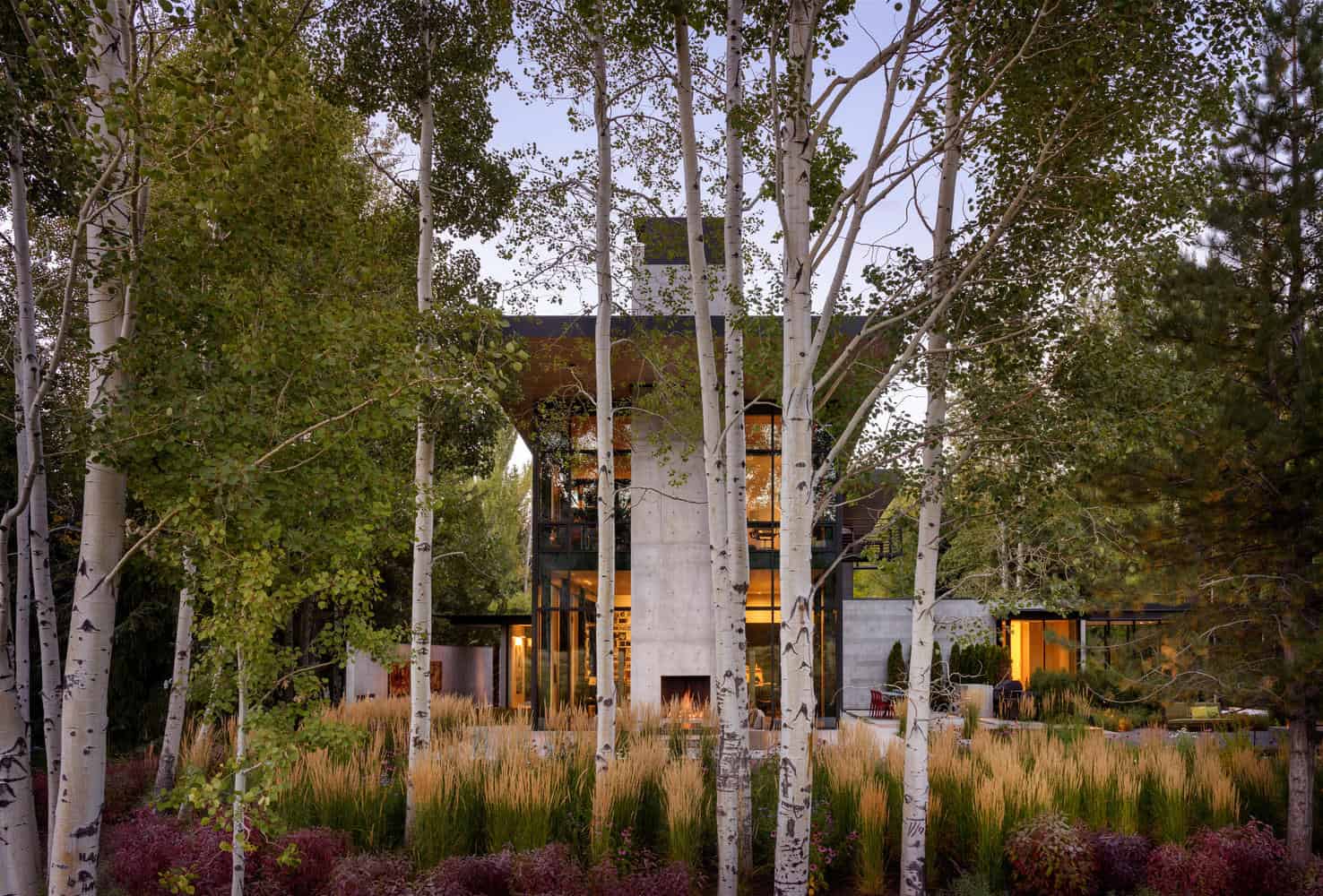Modern contemporary house nestled among tall white birch trees, showcasing innovative architecture with large glass windows and natural landscaping, blending seamlessly with nature.