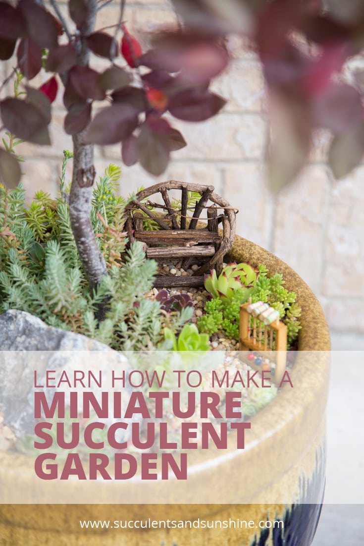 15 Enchanting DIY Succulent Garden Ideas You Will Adore