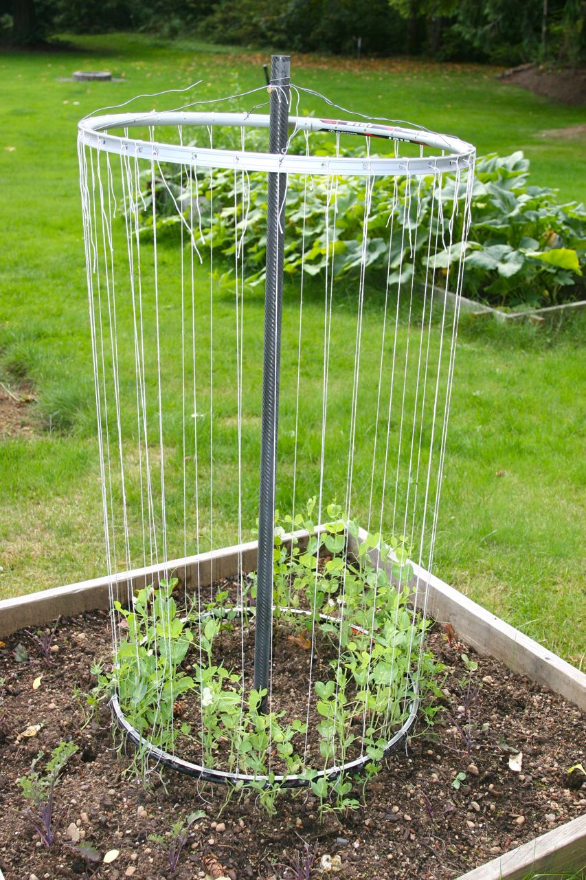 15 Stunning DIY Garden Trellis Ideas That Will Transform Your Outdoor Areas