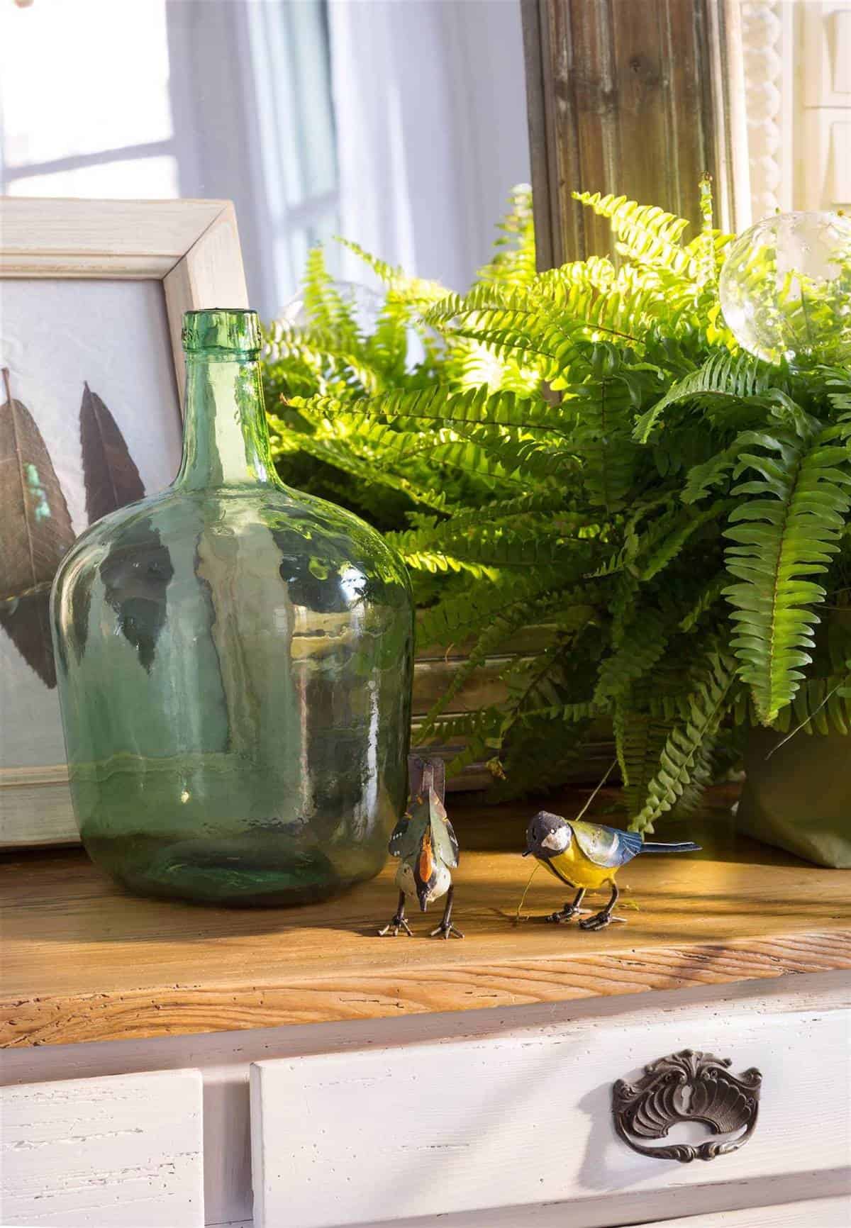 6 Hardy and Easy-to-Maintain Indoor Plants 6 Hardy and Easy-to-Maintain Indoor Plants