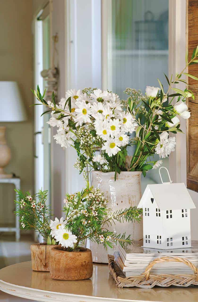 10 Sun & Heat Resistant Outdoor Plants Perfect for Terraces 10 Sun & Heat Resistant Outdoor Plants Perfect for Terraces