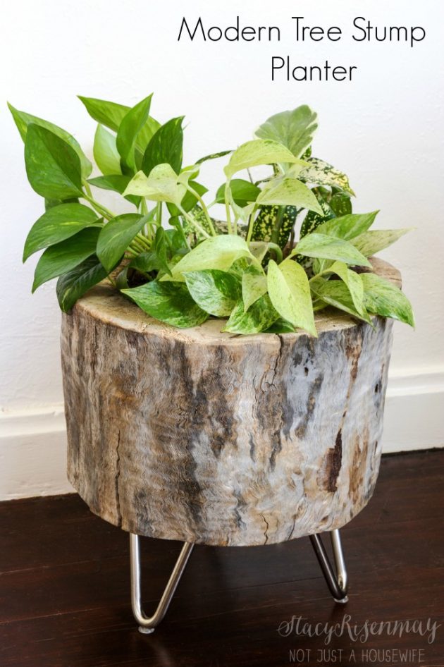 15 Resourceful DIY Planter Ideas You Are Going To Craft Right Away