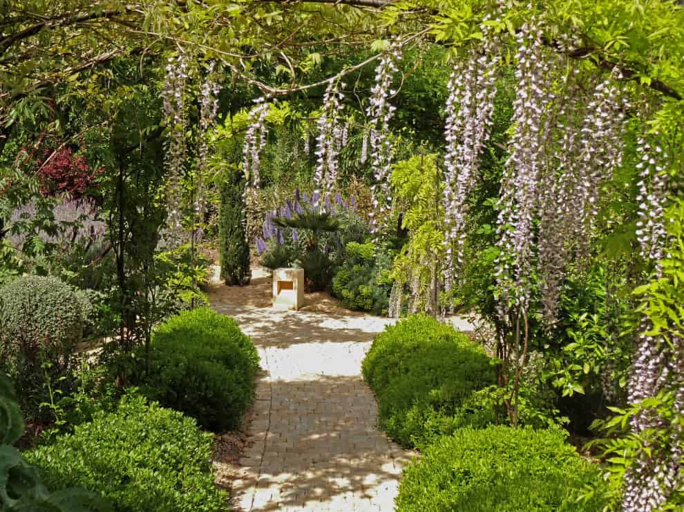 16. Stunning Villa Garden – Andratx, Mallorca 16. Stunning Villa Garden – Andratx, Mallorca