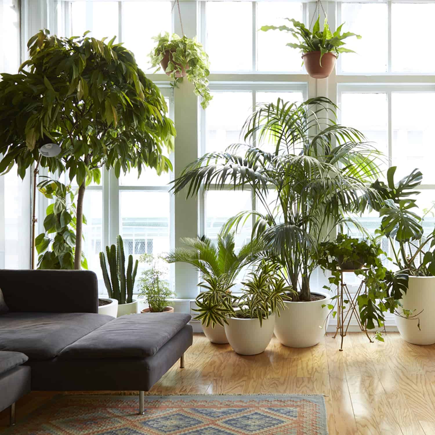 Heat at Summer: How to Achieve the Ideal Temperature at Home?