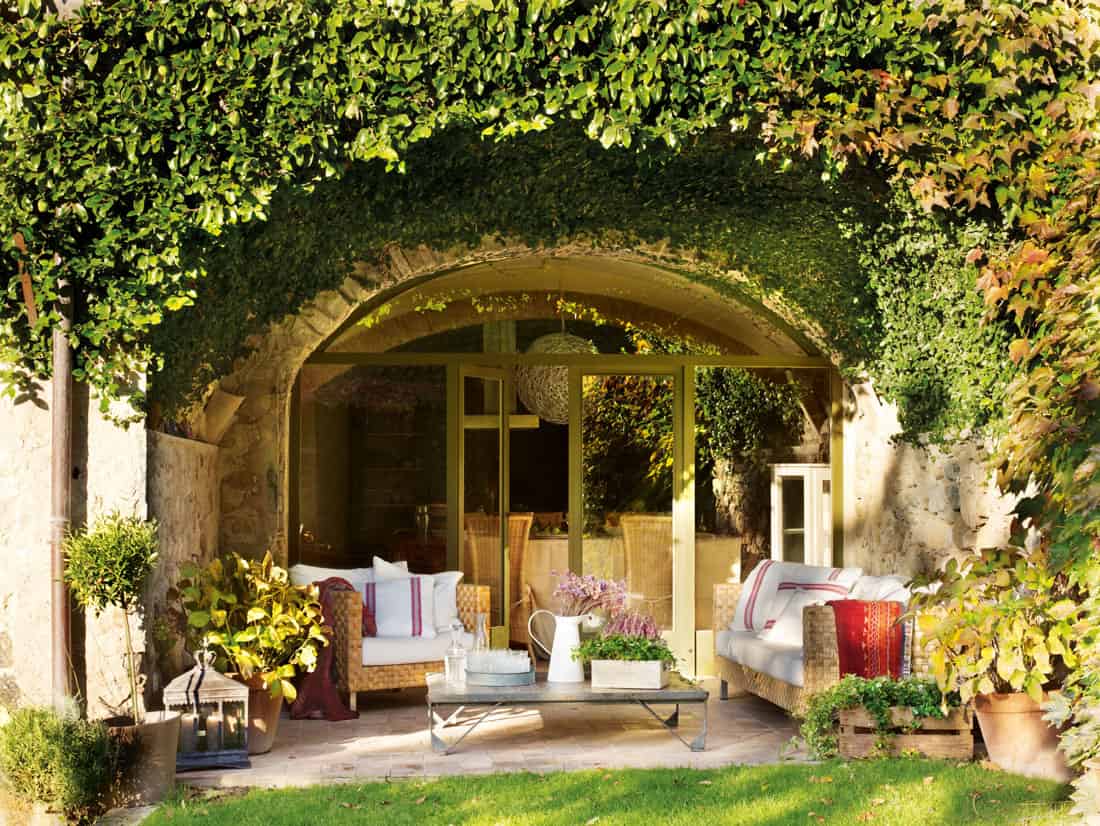 4. EMBRACED BY IVY 4. EMBRACED BY IVY