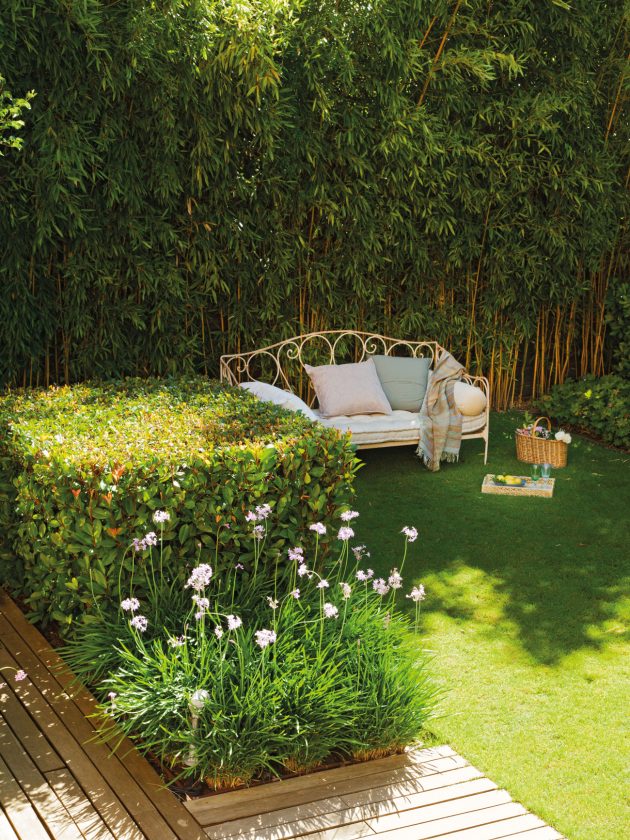 10 Sun & Heat Resistant Outdoor Plants Perfect for Terraces