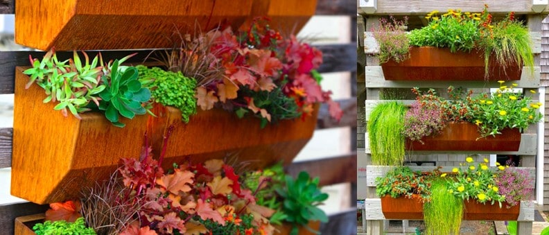 3.The Leo Wall Planter 3.The Leo Wall Planter