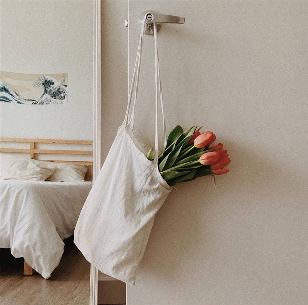 10 Sun & Heat Resistant Outdoor Plants Perfect for Terraces 10 Sun & Heat Resistant Outdoor Plants Perfect for Terraces