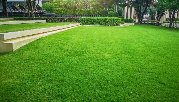 Lawn Care Tips For Creating A Beautifully Sculptured Yard