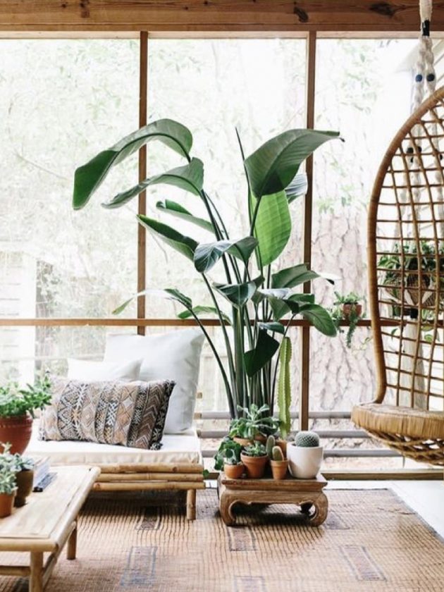 A Living Room in the Chic Nature Style