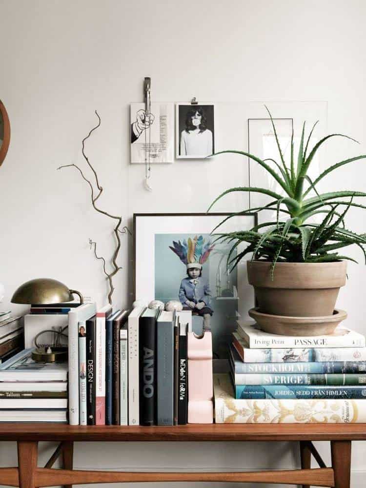 Medicinal Plants That Cannot Be Missing in Your Home Garden Medicinal Plants That Cannot Be Missing in Your Home Garden