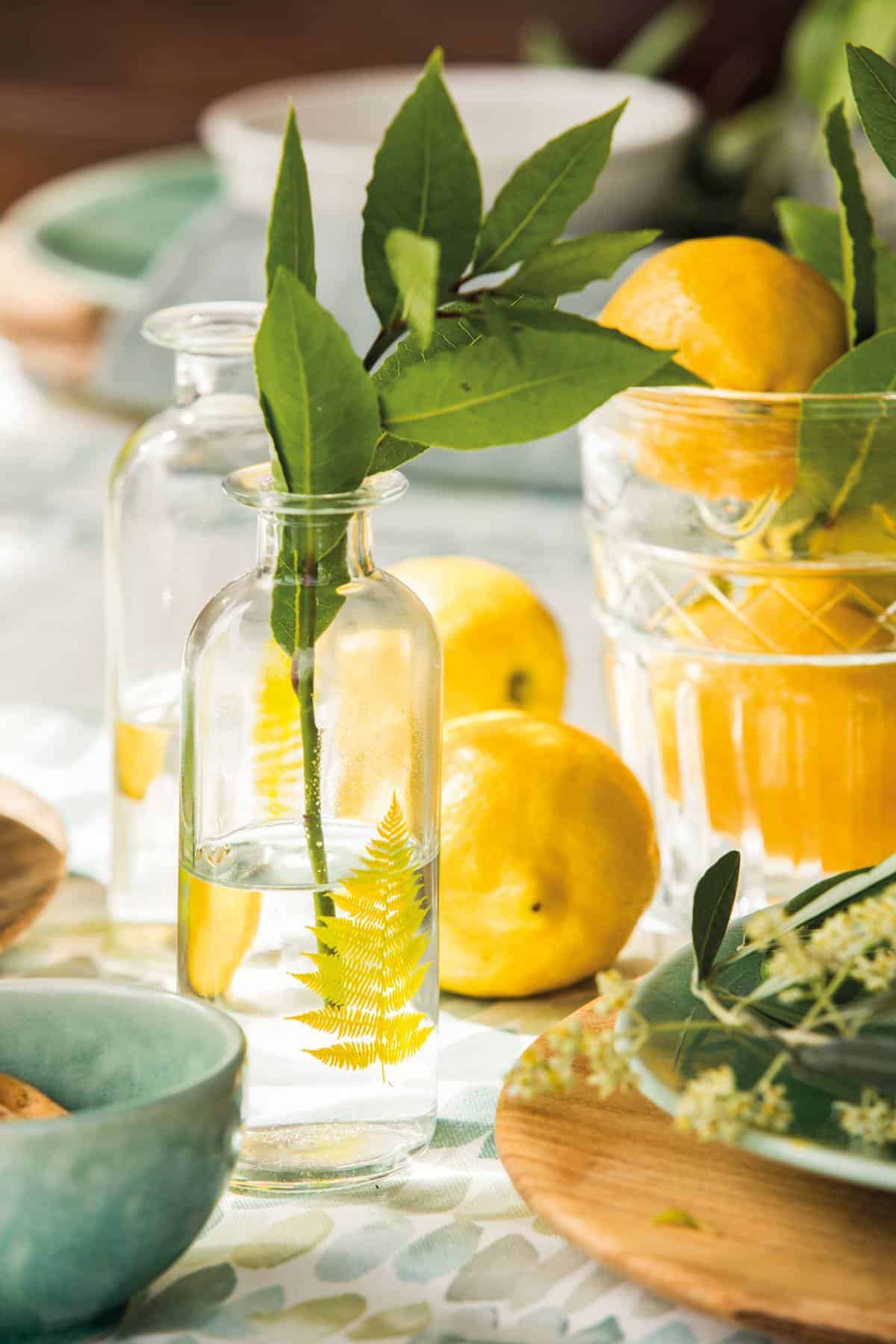 Medicinal Plants That Cannot Be Missing in Your Home Garden Medicinal Plants That Cannot Be Missing in Your Home Garden