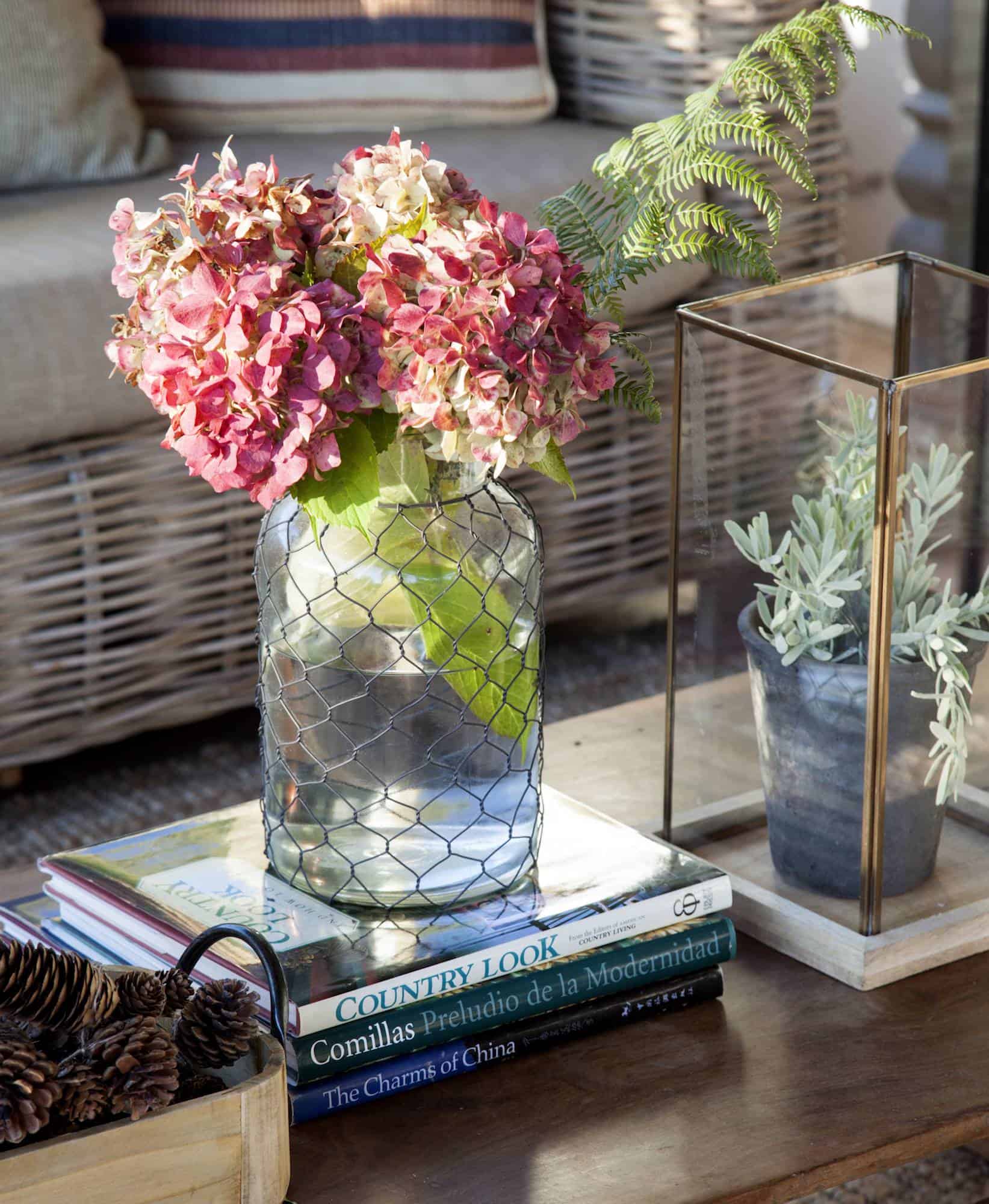 Autumn Plants & Flowers to Fill Your Home With Warmth