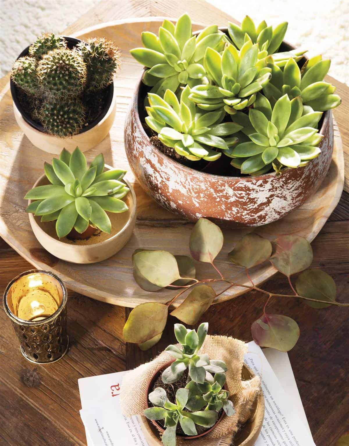 More Ideas That Will Give Your Home a New Look in Autumn More Ideas That Will Give Your Home a New Look in Autumn