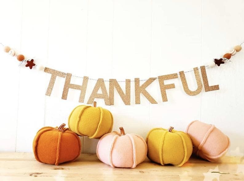 13. Fall Felted Wool Ball Garland 13. Fall Felted Wool Ball Garland