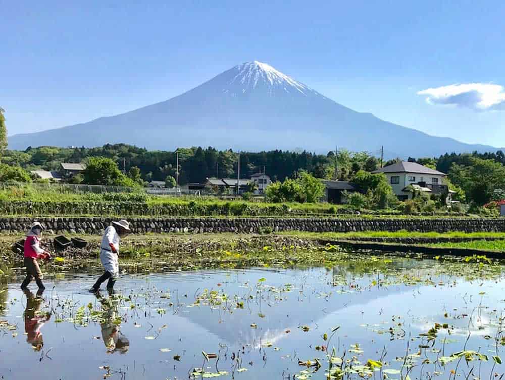 Ecovillages - What They Are & How to Live in One Ecovillages - What They Are & How to Live in One