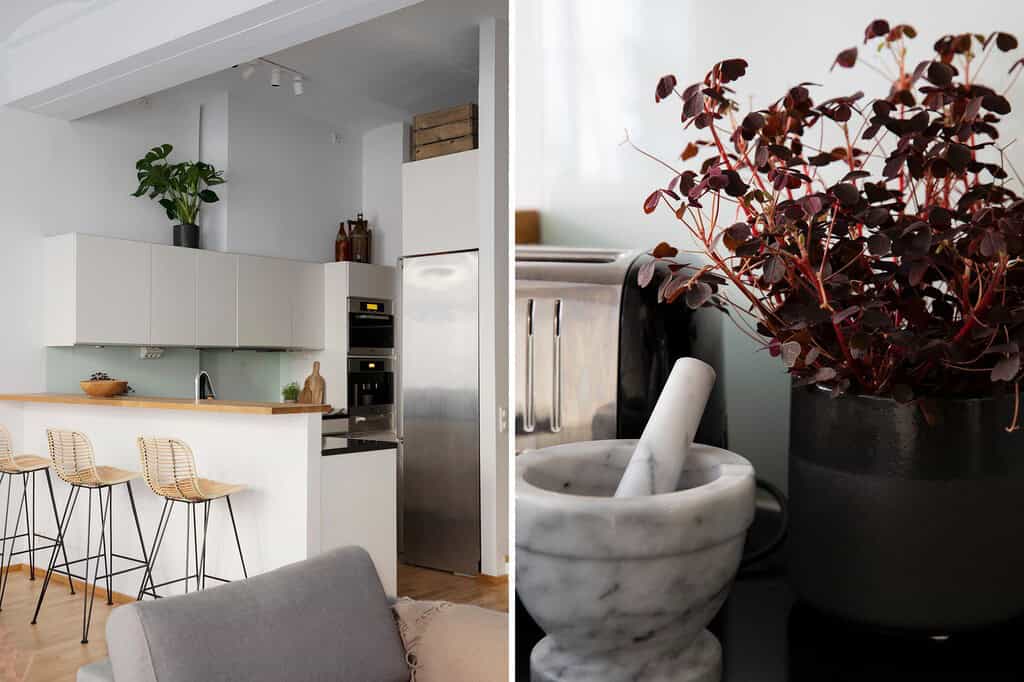 Kitchen Open to the Dining Room with Breakfast Bar is the Kitchen That You Need Kitchen Open to the Dining Room with Breakfast Bar is the Kitchen That You Need