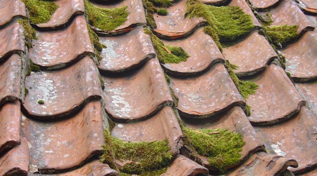 Major Causes of Premature Roof Failure