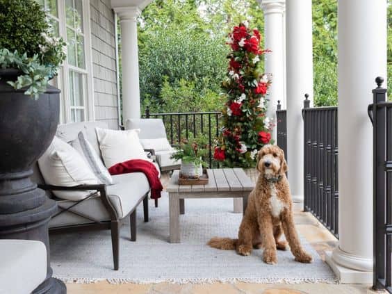 THE MAGIC OF THE LIGHTS