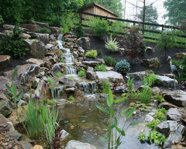 How To Build a Water Garden