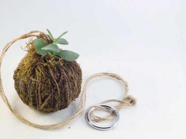 Kokedama - Japanese Technique to Decorate Your Home With Plants
