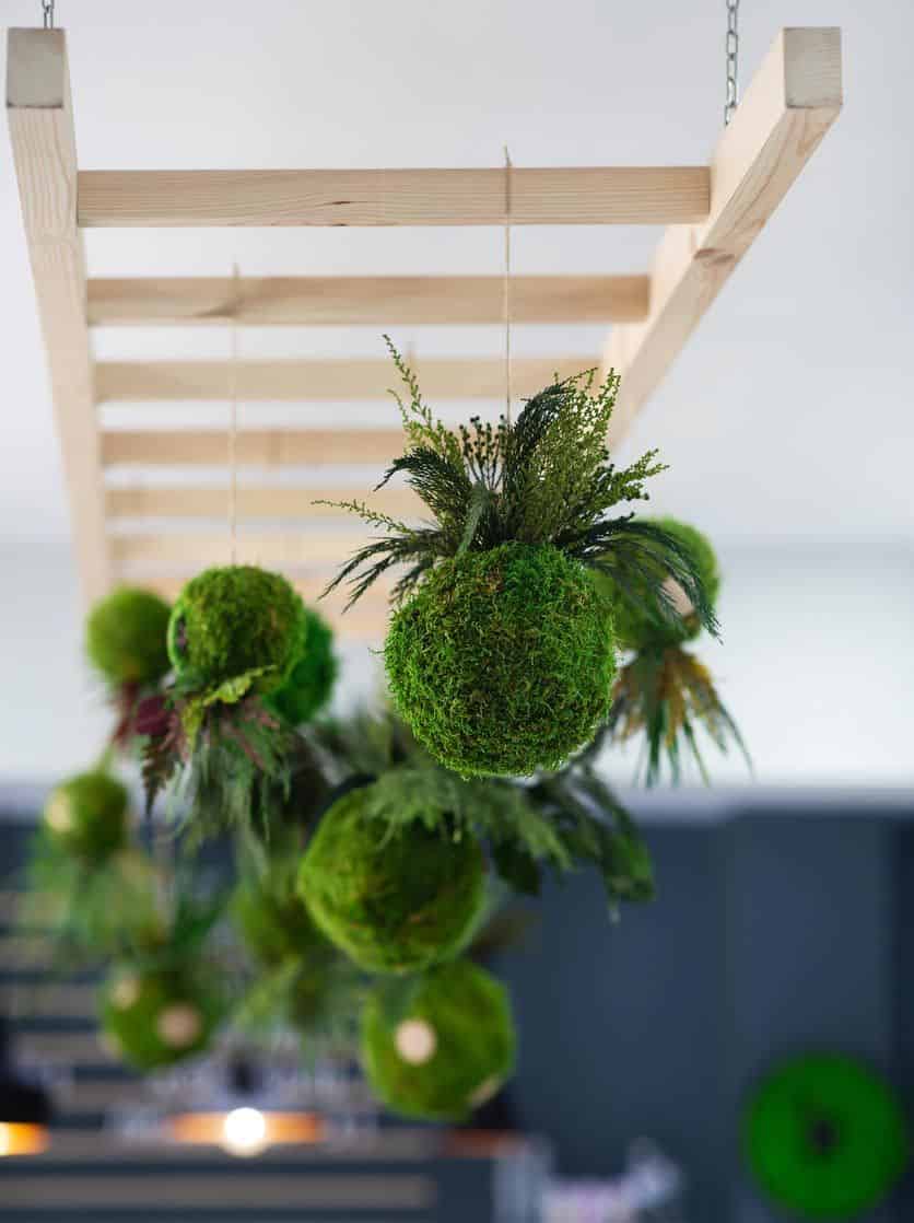 Kokedama - Japanese Technique to Decorate Your Home With Plants